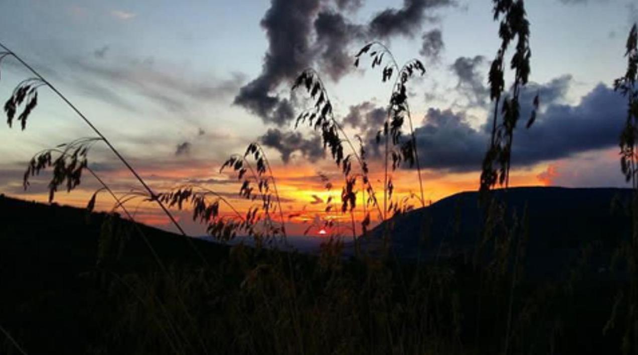 In Sicilia Da Ciro Bed & Breakfast Vita Bagian luar foto