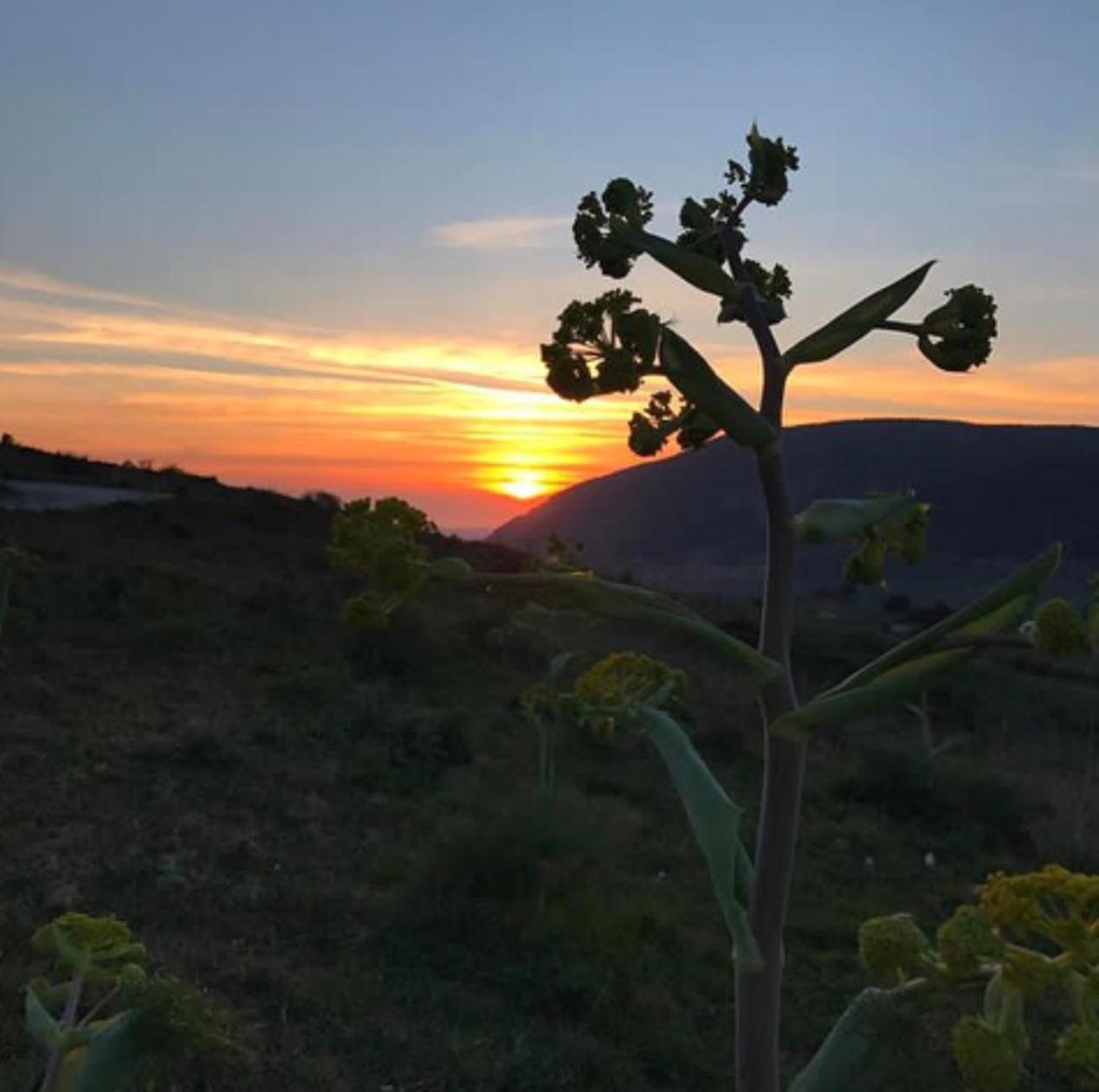 In Sicilia Da Ciro Bed & Breakfast Vita Bagian luar foto